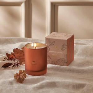 NEW!! Pumpkin Laurel Aromatic Candle